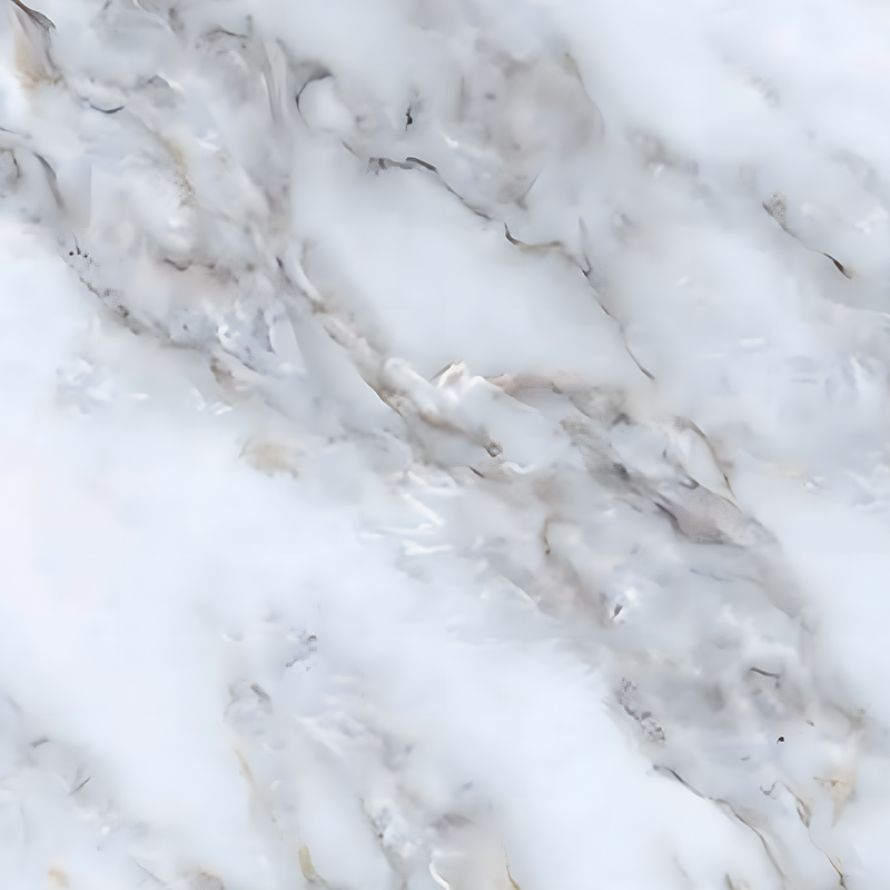 Zwart-witte wortel waterdichte en vochtbestendige wandpaneel zelfklevende warmteoverdrachtsfilm
